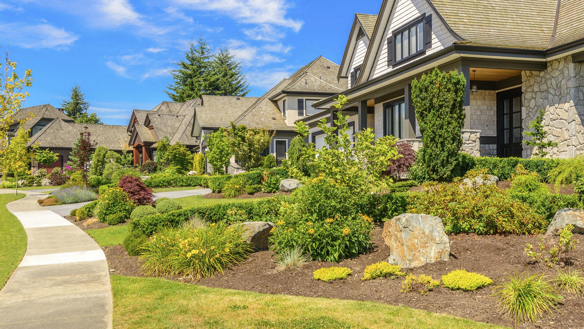 779 Handy Andy Landscaper, Landscaping and Lawn Maintenance slide 2